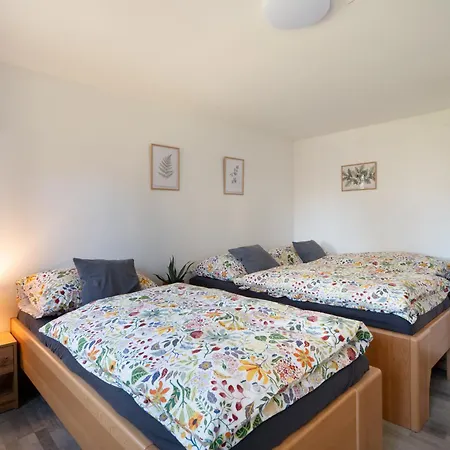 Domovina Apartman